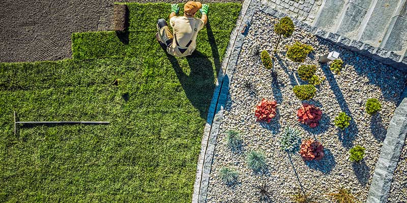 Sod Installation Services