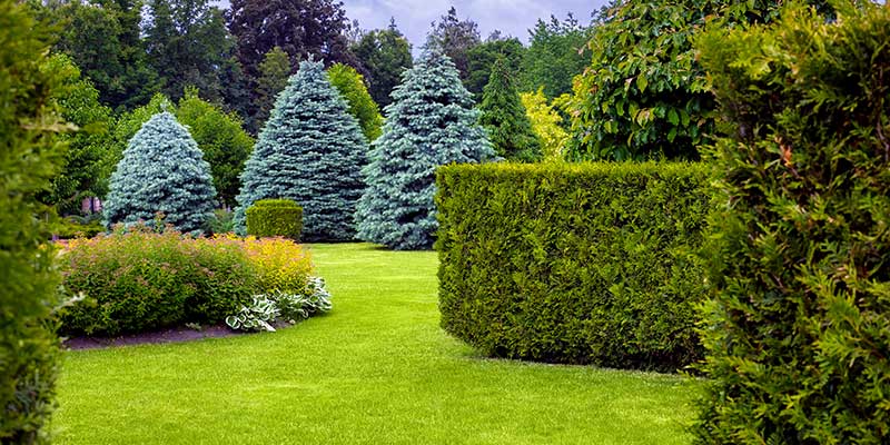 Landscape Design Services