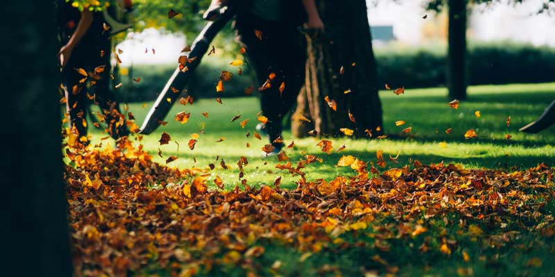 Yard Cleanups Services